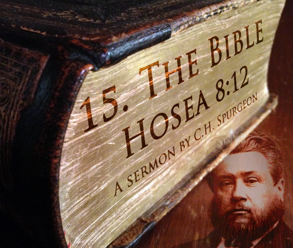 58 Best Seller Audio Bible Book Of Hosea from Famous authors